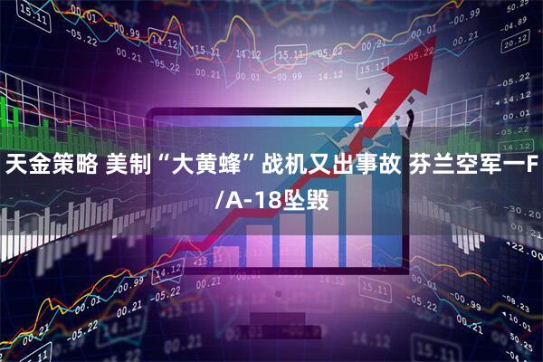 天金策略 美制“大黄蜂”战机又出事故 芬兰空军一F/A-18坠毁