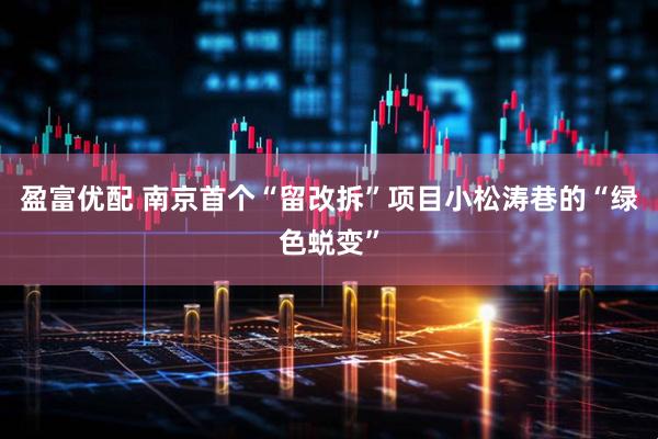 盈富优配 南京首个“留改拆”项目小松涛巷的“绿色蜕变”
