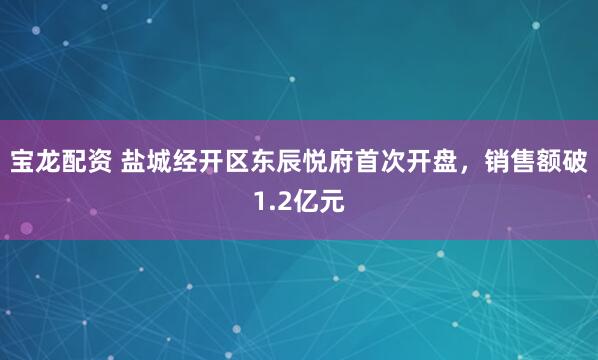 宝龙配资 盐城经开区东辰悦府首次开盘，销售额破1.2亿元