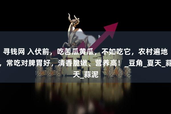 寻钱网 入伏前，吃苦瓜黄瓜，不如吃它，农村遍地是，常吃对脾胃好，清香脆嫩、营养高！_豆角_夏天_蒜泥