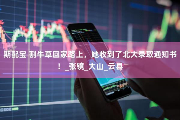 期配宝 割牛草回家路上，她收到了北大录取通知书！_张镜_大山_云县