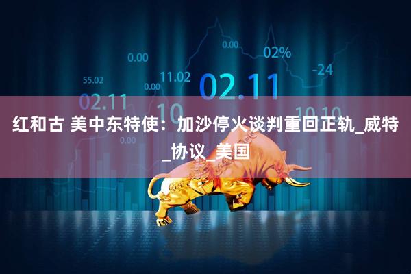 红和古 美中东特使：加沙停火谈判重回正轨_威特_协议_美国