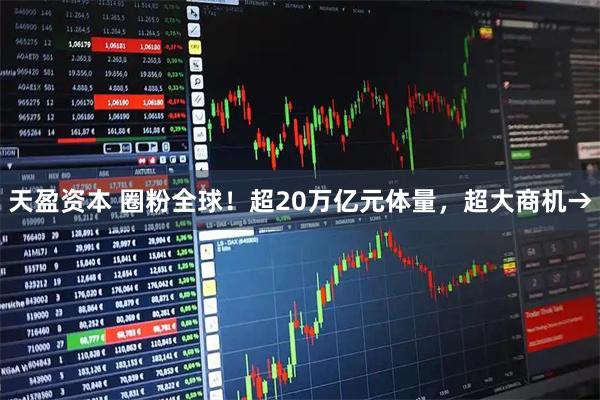 天盈资本 圈粉全球！超20万亿元体量，超大商机→