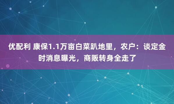 优配利 康保1.1万亩白菜趴地里，农户：谈定金时消息曝光，商贩转身全走了